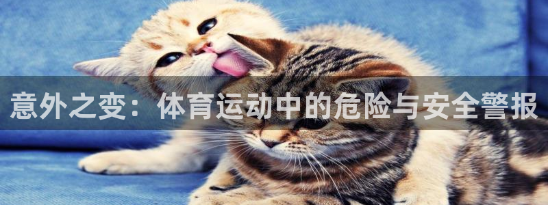 意昂凯捷注册