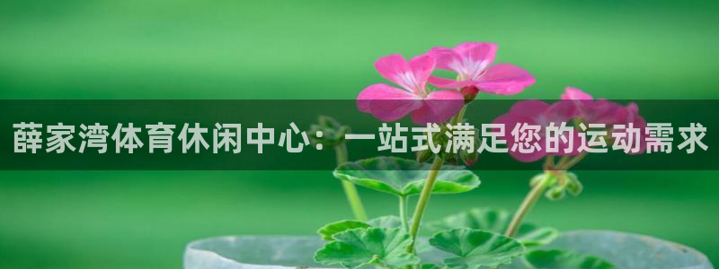 逐梦国际kgame