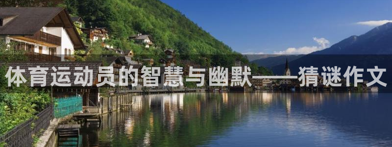 逐梦国际招商