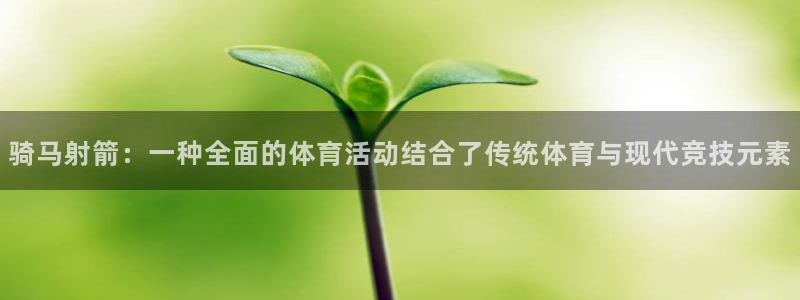 逐梦国际2体育