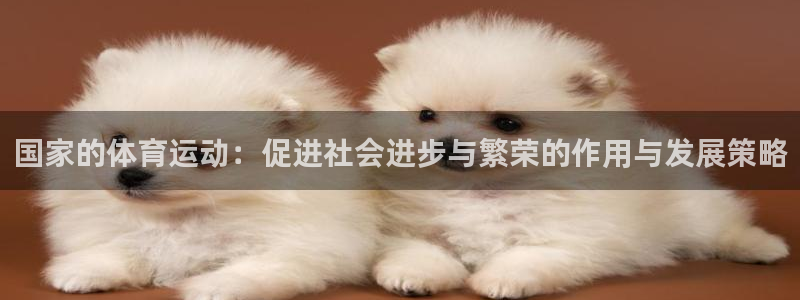 逐梦国际体育2