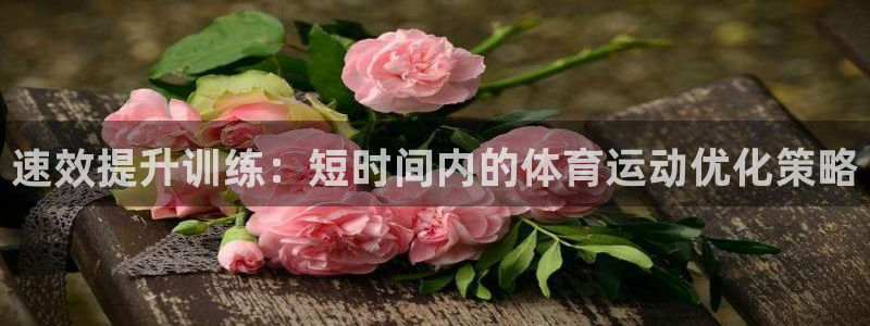 逐梦国际体育平台总代理