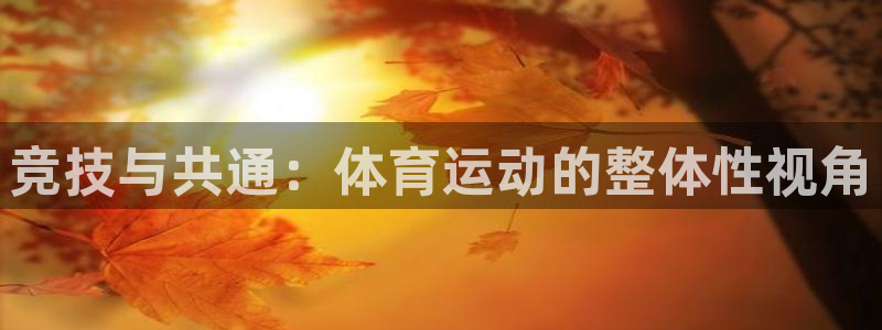 逐梦国际3注册