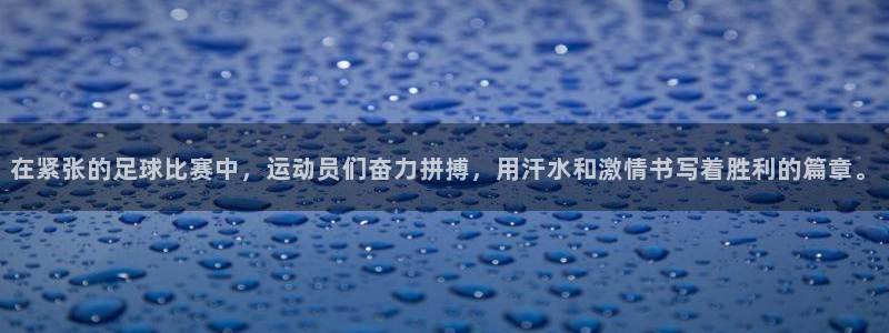 逐梦国际2平台登录