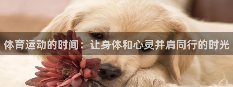 逐梦国际登录入口
