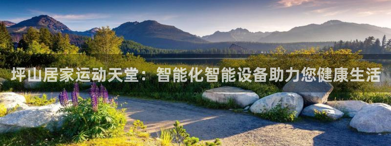 逐梦国际vk