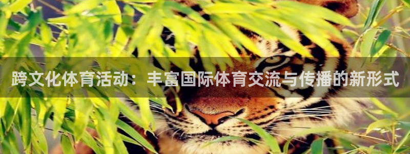 逐梦国际平台主管