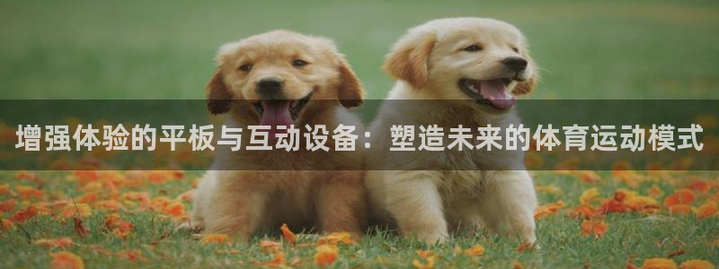 逐梦国际