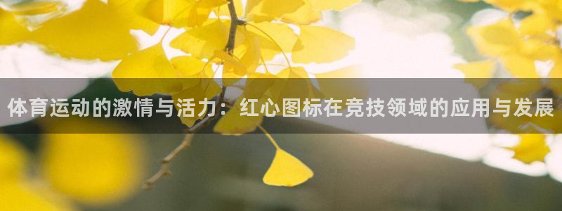 逐梦国际体育平台开号链接