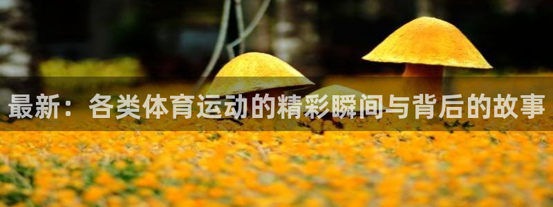 意昂凯捷注册