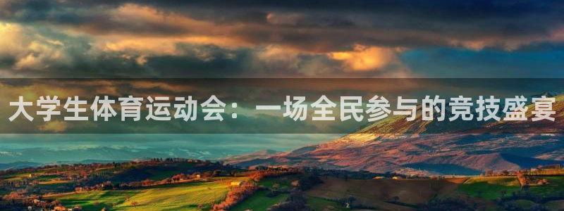 逐梦国际体育和杏耀是哪个公司的
