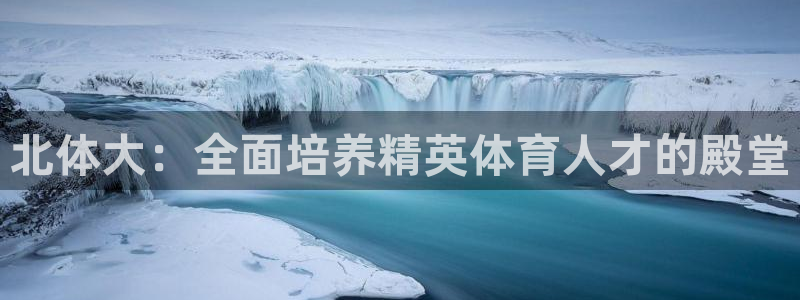 逐梦国际体育代理