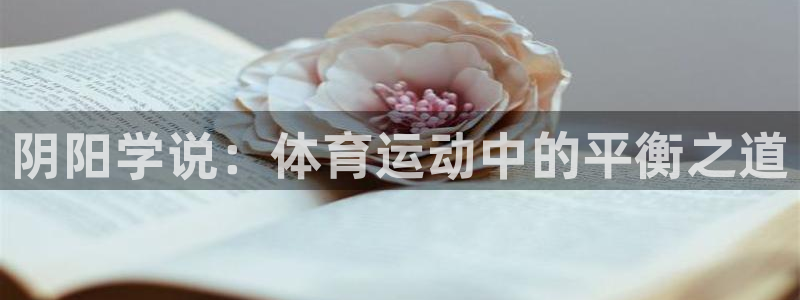 上海逐梦国际汽车电子有限公司