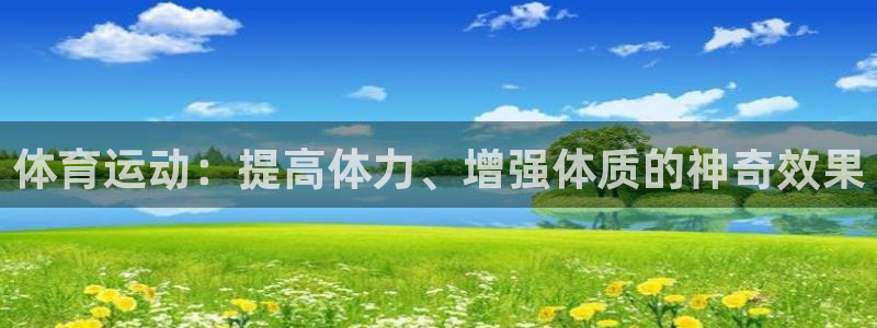 逐梦国际3登录