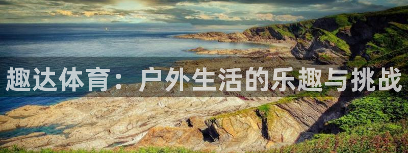 逐梦国际股份