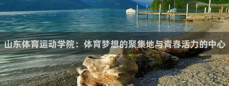 逐梦国际集团股票