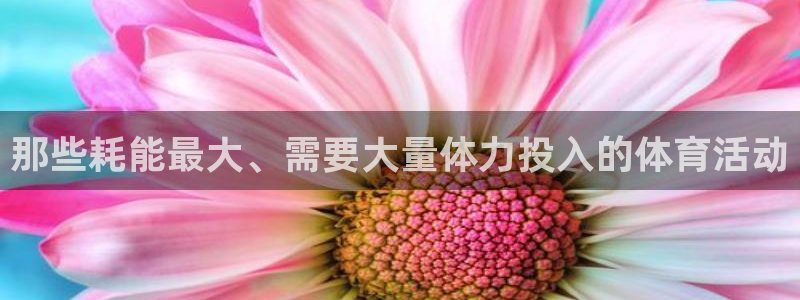 意昂体育4