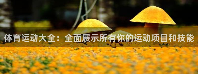 意昂体育3