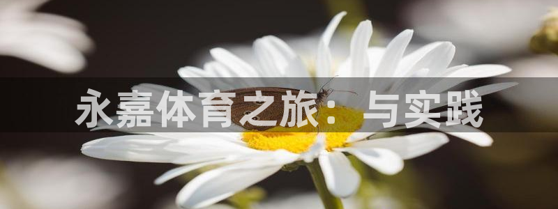 www.意昂体育.com