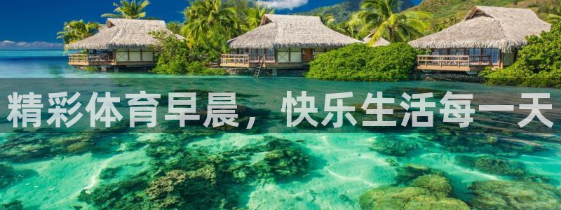 逐梦国际集团