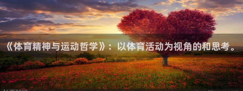 逐梦国际体育凯捷代理注册